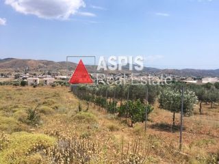 Αγροτεμάχια 2.000 τ.μ. για πώληση