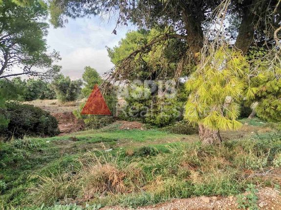 Αγροτεμάχια 4.987 τ.μ. για πώληση, Αττική - Υπόλοιπο, Κερατέα