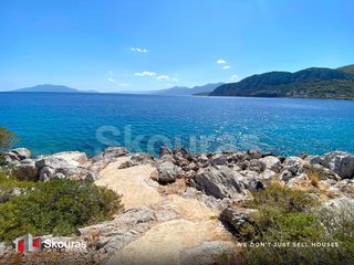Μονοκατοικία 550 τ.μ. για πώληση, Αργολίδα, Επίδαυρος-thumb-6