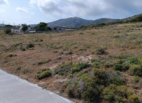 Αγροτεμάχια 4.125τ.μ. για πώληση-Κερατέα