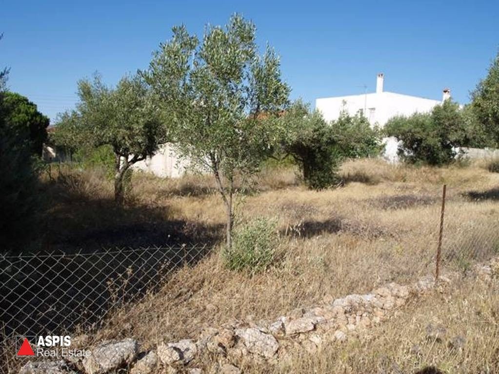 Οικόπεδο 1.036 τ.μ. προς πώληση, Αγία Μαρίνα Κορωπίου