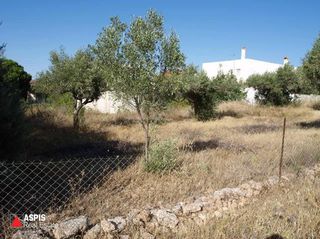 Οικόπεδο 1.036 τ.μ. προς πώληση