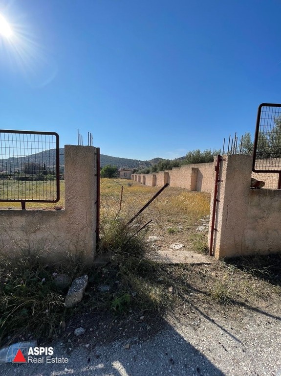 Οικόπεδο 2.500 τ.μ. προς πώληση, Λαγονήσι