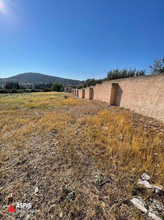 Οικόπεδο 2.500 τ.μ. προς πώληση, Λαγονήσι
