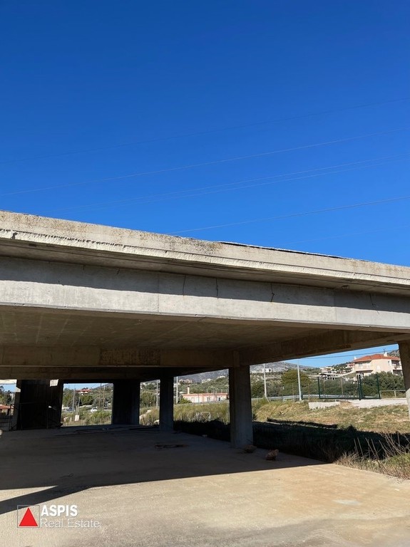 Μονοκατοικία 600 τ.μ. προς ενοικίαση, Λαγονήσι