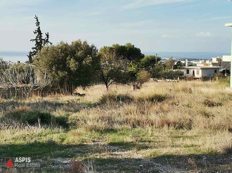 Οικόπεδο 1.000τ.μ. για πώληση-Καλύβια θορικού