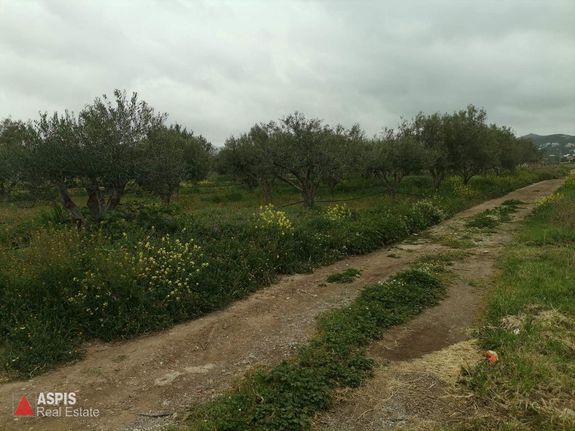 Οικόπεδο 3.670 τ.μ. για πώληση, Αττική - Υπόλοιπο, Ανάβυσσος