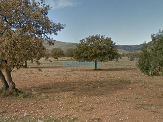Αγροτεμάχια 6.200 τ.μ. για πώληση
