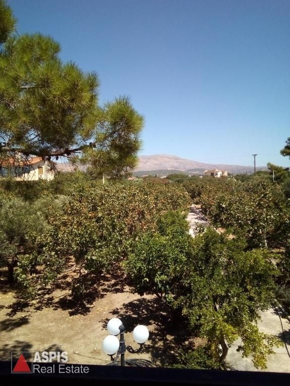 Μονοκατοικία 120 τ.μ. προς ενοικίαση, Κέντρο Αναβύσσου