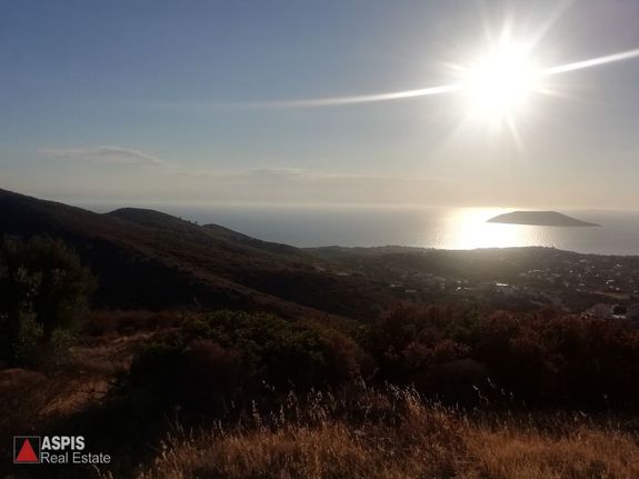 Οικόπεδο 7.007 τ.μ. για πώληση, Αττική - Υπόλοιπο, Παλαιά Φώκαια