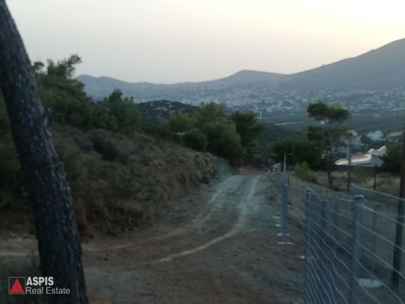 Οικόπεδο 4.150 τ.μ. για πώληση, Αττική - Υπόλοιπο, Ανάβυσσος