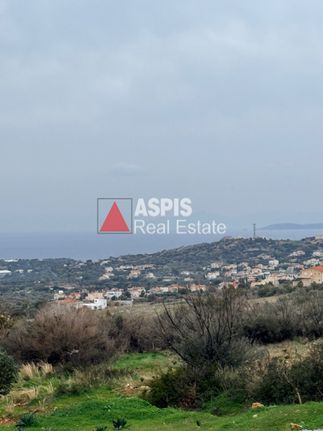 Οικόπεδο 30.000 τ.μ. για πώληση, Αττική - Υπόλοιπο, Καλύβια Θορικού