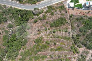 Αγροτεμάχια 4.634,30 τ.μ. για πώληση, Μεσσηνία, Λεύκτρος-thumb-17
