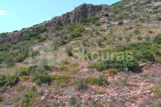 Αγροτεμάχια 4.634,30 τ.μ. για πώληση, Μεσσηνία, Λεύκτρος-thumb-6