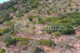 Αγροτεμάχια 4.634,30 τ.μ. για πώληση, Μεσσηνία, Λεύκτρος-thumb-27