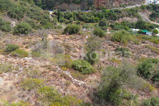 Αγροτεμάχια 4.634,30 τ.μ. για πώληση, Μεσσηνία, Λεύκτρος-thumb-5