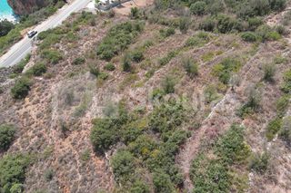 Αγροτεμάχια 4.634,30 τ.μ. για πώληση, Μεσσηνία, Λεύκτρος-thumb-16