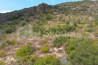 Αγροτεμάχια 4.634,30 τ.μ. για πώληση, Μεσσηνία, Λεύκτρος-thumb-9