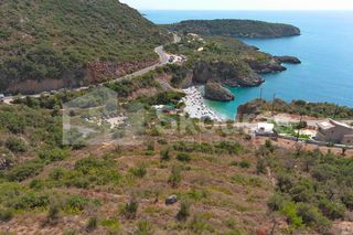 Αγροτεμάχια 4.634,30 τ.μ. για πώληση, Μεσσηνία, Λεύκτρος-thumb-12