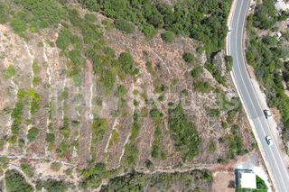 Αγροτεμάχια 4.634,30 τ.μ. για πώληση, Μεσσηνία, Λεύκτρος-thumb-19