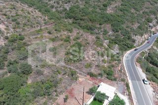 Αγροτεμάχια 4.634,30 τ.μ. για πώληση, Μεσσηνία, Λεύκτρος-thumb-8