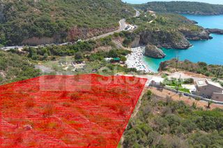 Αγροτεμάχια 4.634,30 τ.μ. για πώληση, Μεσσηνία, Λεύκτρος-thumb-2