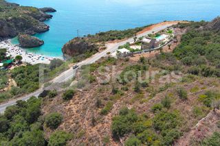 Αγροτεμάχια 4.634,30 τ.μ. για πώληση, Μεσσηνία, Λεύκτρος-thumb-14