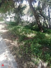 Οικόπεδο 811 τ.μ. για πώληση, Αττική - Υπόλοιπο, Σαρωνίδα-thumb-1