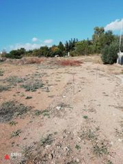 Οικόπεδο 2.000 τ.μ. για πώληση, Αττική - Υπόλοιπο, Ανάβυσσος-thumb-1