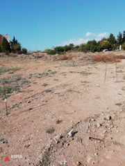 Οικόπεδο 2.000 τ.μ. για πώληση, Αττική - Υπόλοιπο, Ανάβυσσος-thumb-2