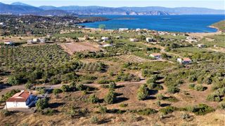 Οικόπεδο 4.050 τ.μ. για πώληση, Αργολίδα, Ερμιόνη-thumb-25