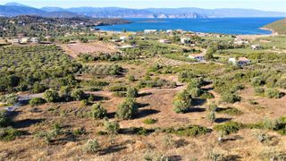 Οικόπεδο 4.050 τ.μ. για πώληση, Αργολίδα, Ερμιόνη-thumb-14