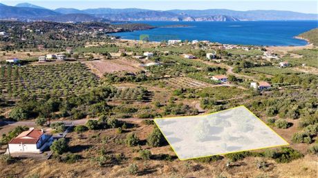 Οικόπεδο 4.050 τ.μ. για πώληση