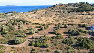 Οικόπεδο 4.050 τ.μ. για πώληση, Αργολίδα, Ερμιόνη-thumb-10