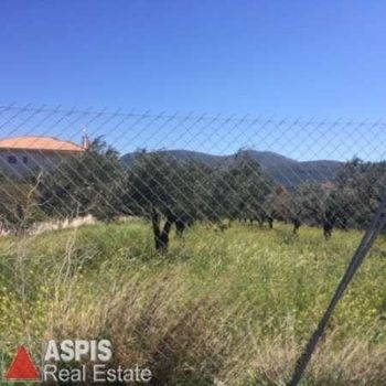 Αγροτεμάχια 3.220τ.μ. για πώληση-Καλύβια θορικού