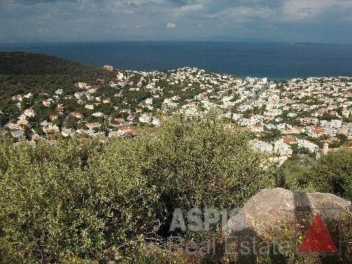 Οικόπεδο 1.236 τ.μ. για πώληση, Αττική - Υπόλοιπο, Σαρωνίδα