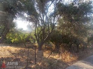 Οικόπεδο 758 τ.μ. για πώληση