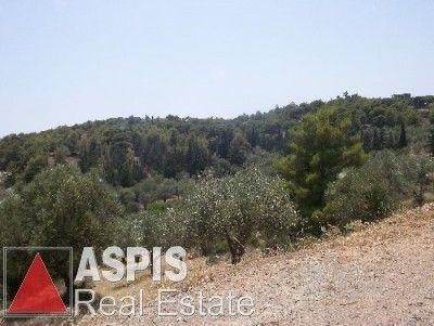 Parcel 40.000sqm for sale-Koropi