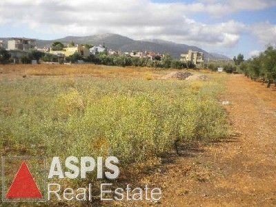 Οικόπεδο 2.000 τ.μ. για πώληση