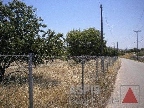 Αγροτεμάχια 16.000 τ.μ. για πώληση