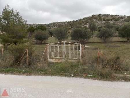 Οικόπεδο 448 τ.μ. για πώληση
