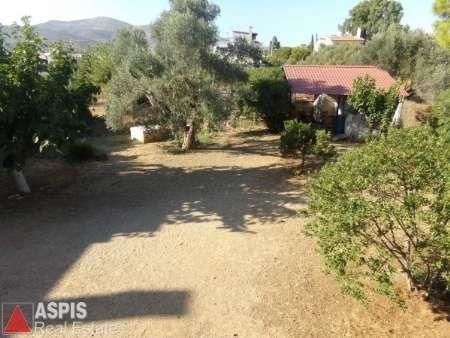 Οικόπεδο 2.000 τ.μ. για πώληση