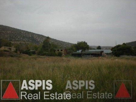 Οικόπεδο 11.500 τ.μ. για πώληση