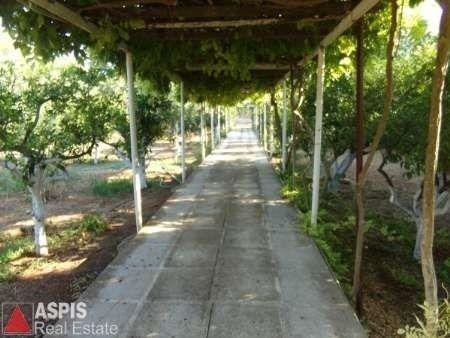 Μονοκατοικία 80 τ.μ. προς πώληση, Κέντρο Βάρης