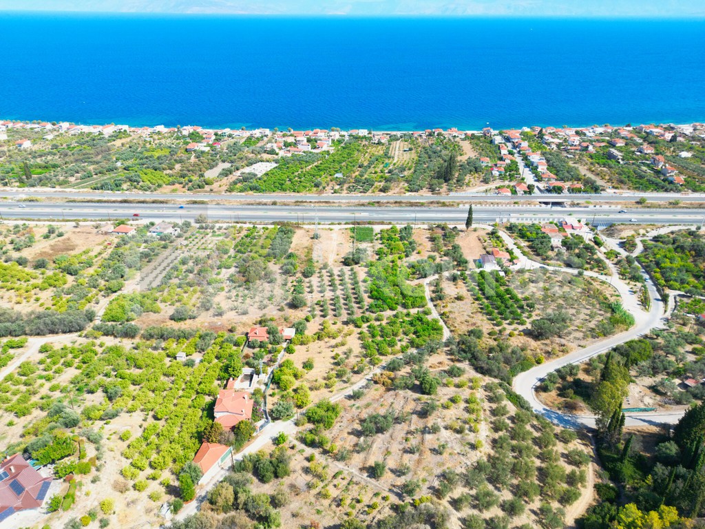 Οικόπεδο 1.907 τ.μ. προς πώληση, Άνω Λουτρό