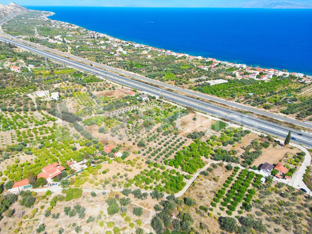 Οικόπεδο 1.907 τ.μ. προς πώληση, Άνω Λουτρό