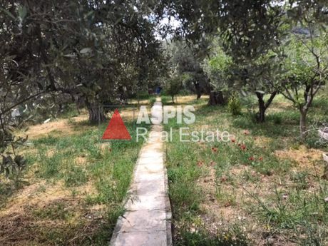 Οικόπεδο 1.120τ.μ. για πώληση-Κερατέα
