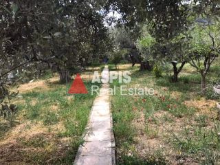Οικόπεδο 1.120 τ.μ. για πώληση