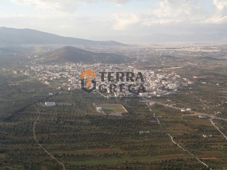 Οικόπεδο 400τ.μ. για πώληση-Σπάτα