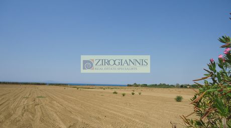 Αγροτεμάχια 13.000τ.μ. για πώληση-Αμαλιάδα
